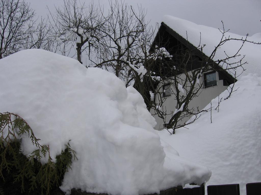 Nasa Hisa Apartment Bohinj Bilik gambar