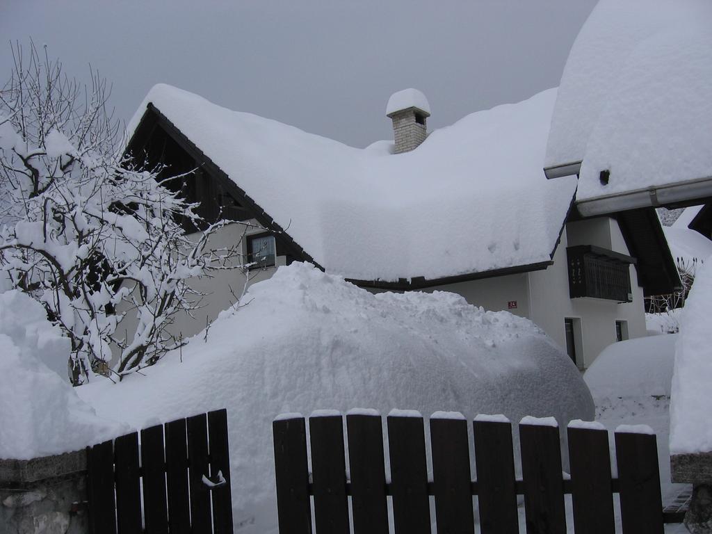 Nasa Hisa Apartment Bohinj Bilik gambar