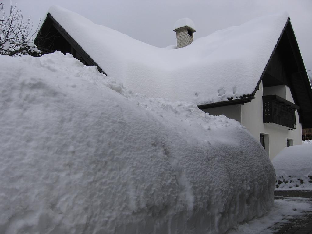 Nasa Hisa Apartment Bohinj Bilik gambar