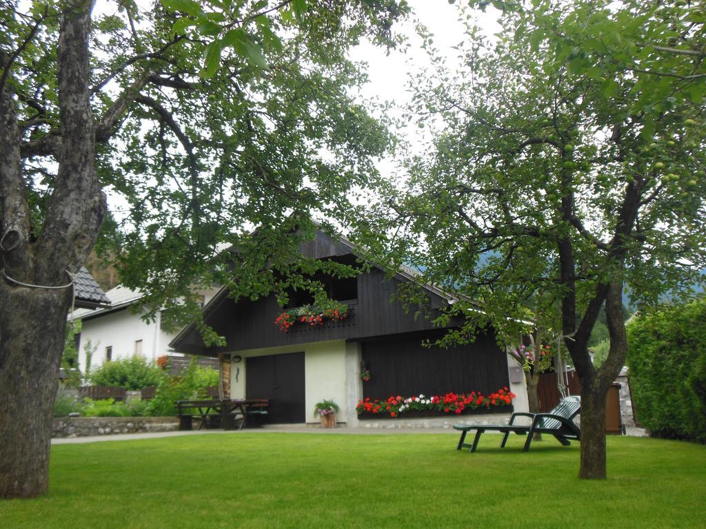 Nasa Hisa Apartment Bohinj Bilik gambar
