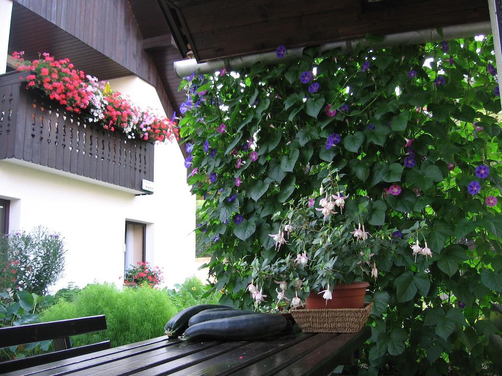 Nasa Hisa Apartment Bohinj Luaran gambar