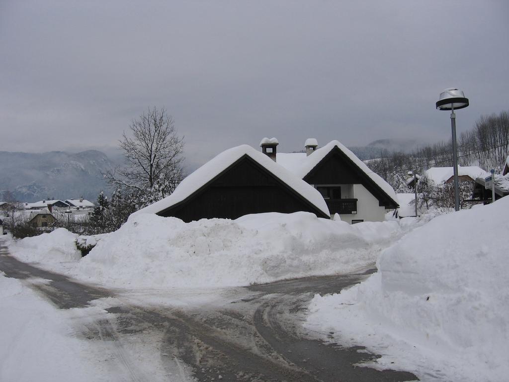 Nasa Hisa Apartment Bohinj Luaran gambar